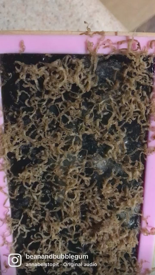 Midnight Body Soap